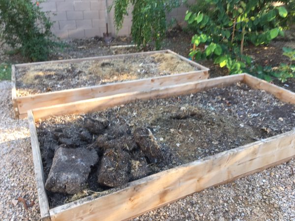 Getting your Raised Bed Ready for Planting Season
