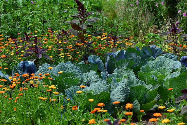 15 Ways Gardening Makes Us Happier