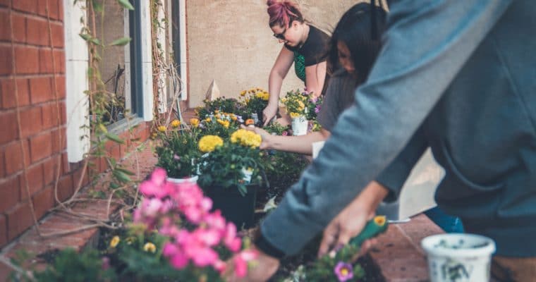 Building Relationships Through a Gardening Community