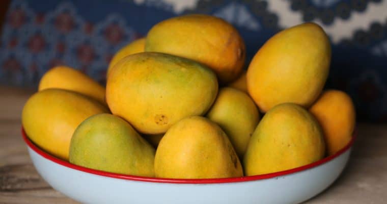 Should I Grow a Mango Tree from Seed