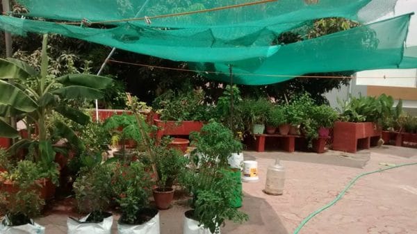 When to Use Shade Cloth in the Garden