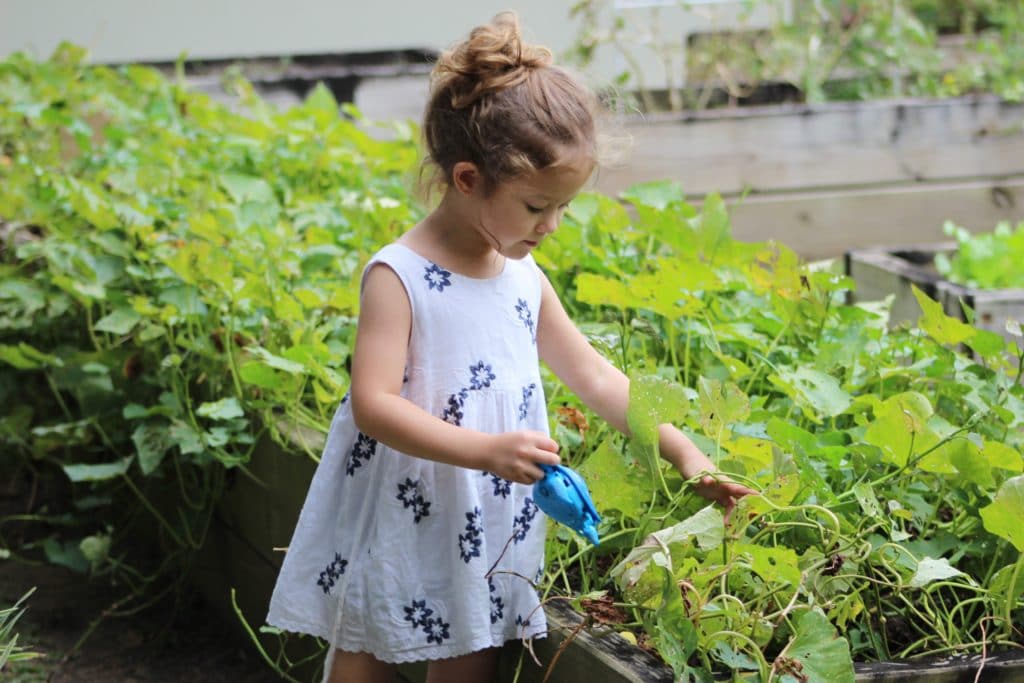gardening projects for kids