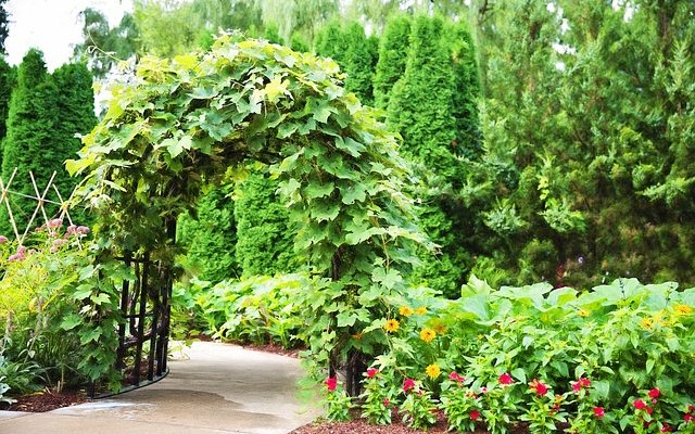 Why You Need an Entrance Arbor in Your Garden Today