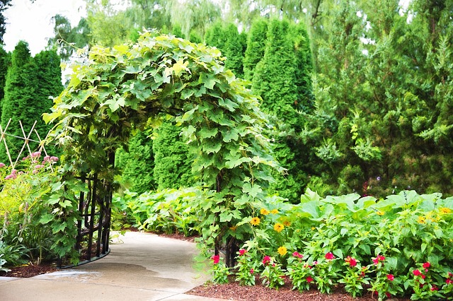 Why You Need an Entrance Arbor in Your Garden Today