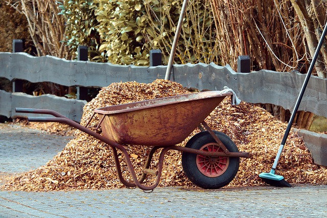 gardening for exercise