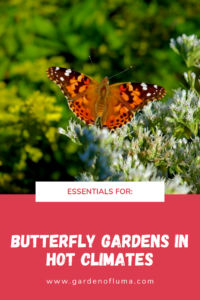 butterfly garden