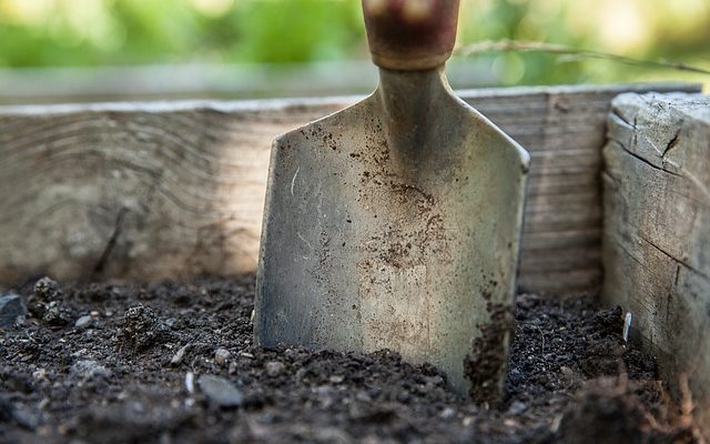 Fertile Garden Soil: 9 Tips for  a Healthy Soil