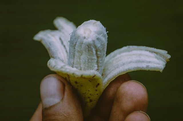 grow bananas in hot climates