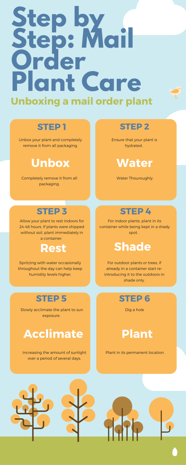 How to Properly Care for a Mail Order Plant or Tree Garden of Luma